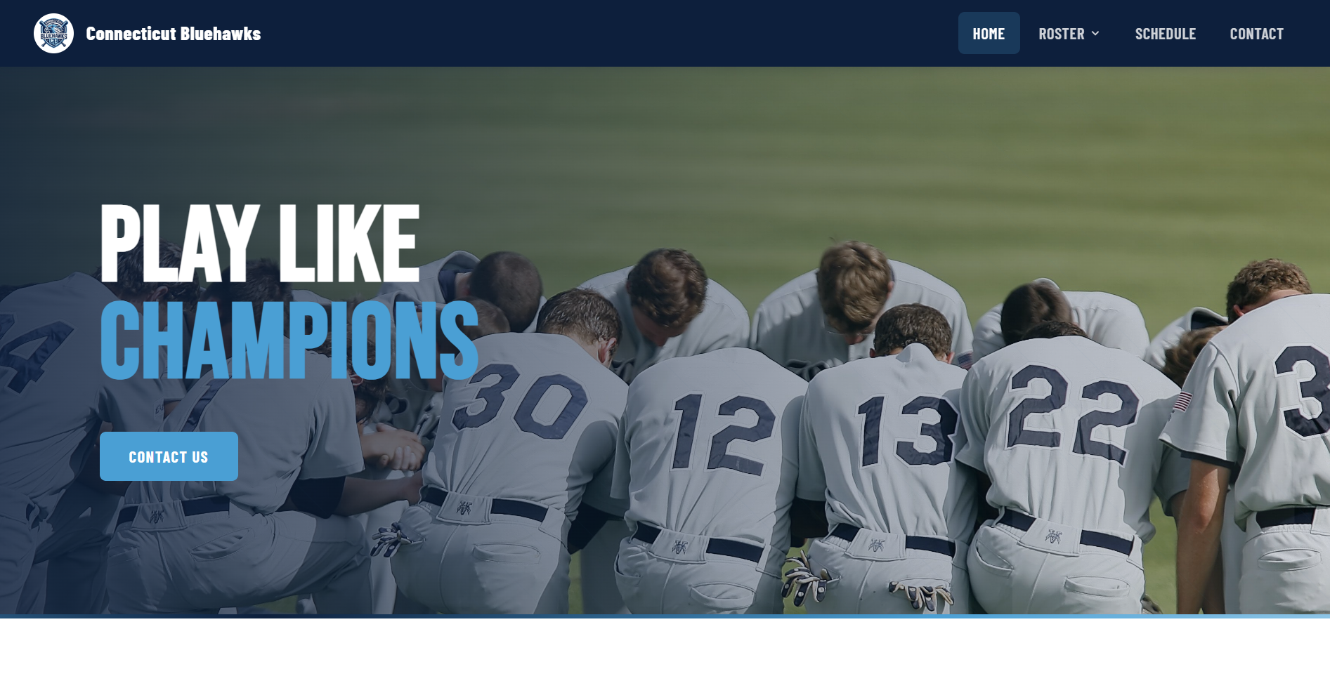 Bluehawks Baseball website preview