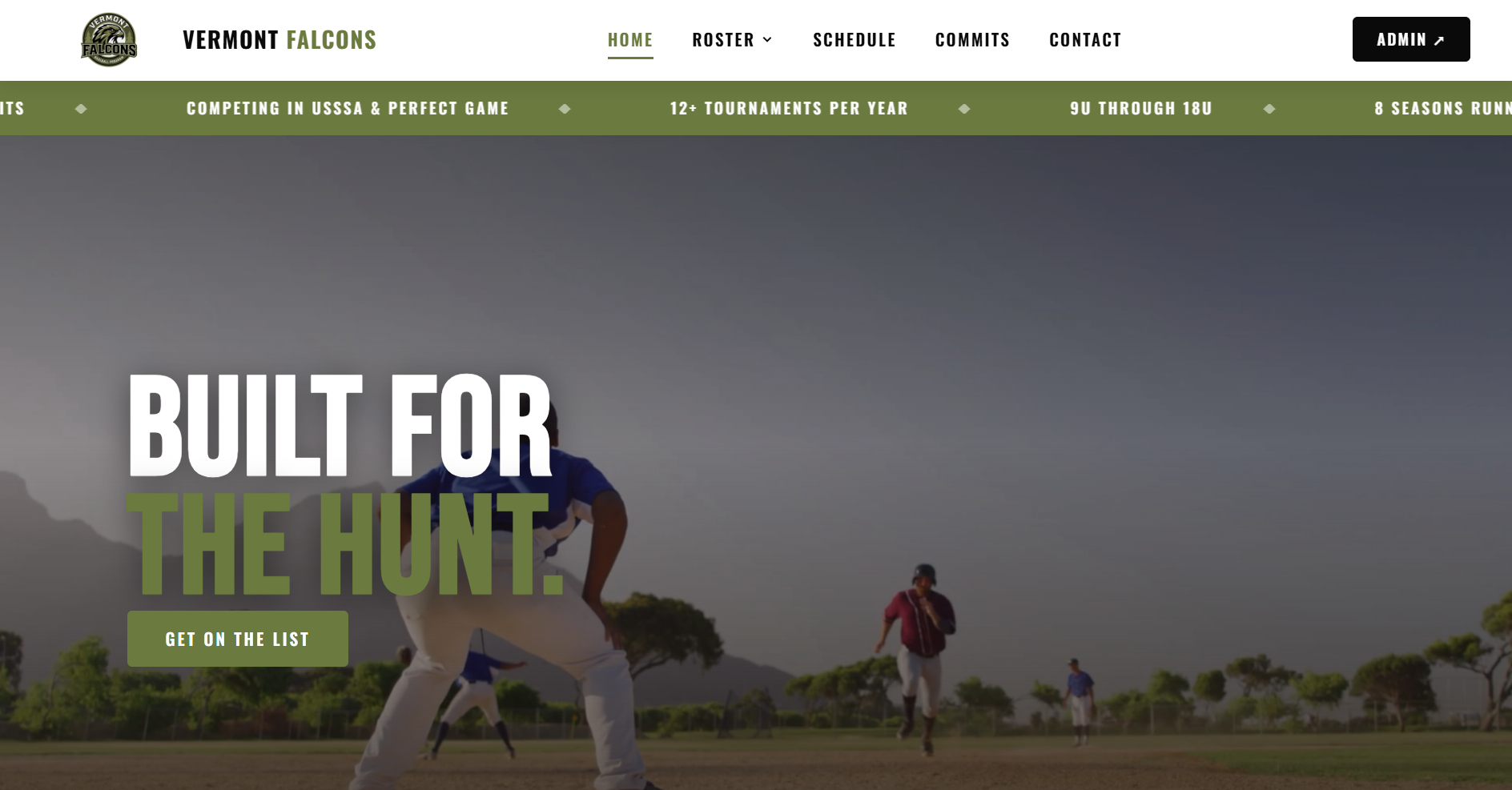 Falcons Baseball website preview