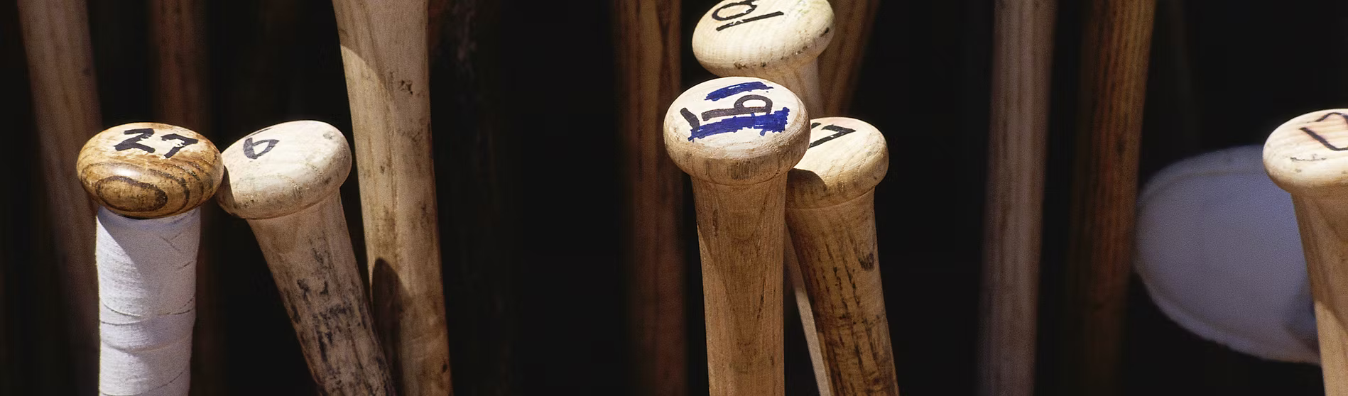 Line of baseball bats